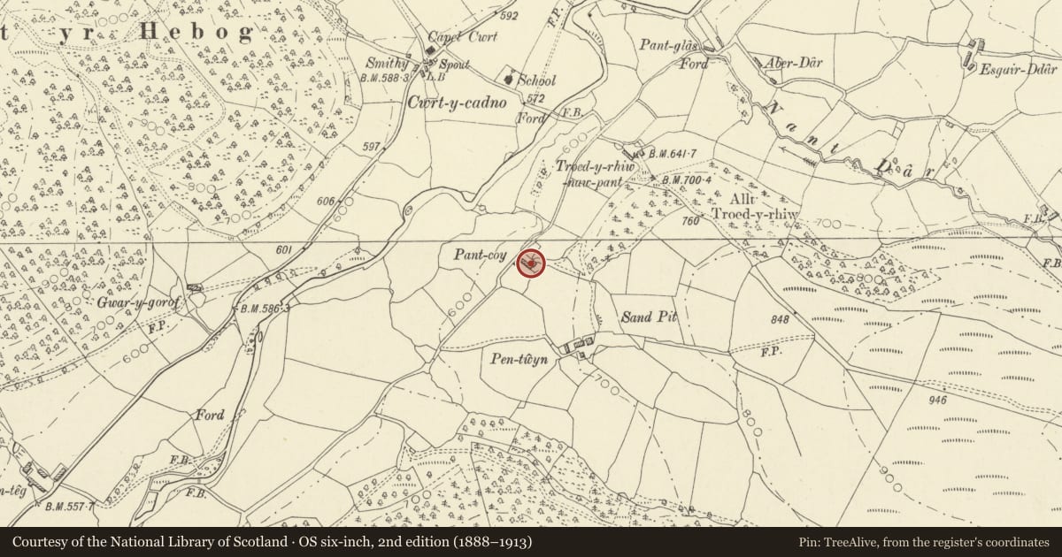 Ordnance Survey six-inch map, 2nd edition (1888–1913) covering the location of Pant-Coy, Cynwyl Gaeo, Carmarthenshire, with a pin at the register's coordinates