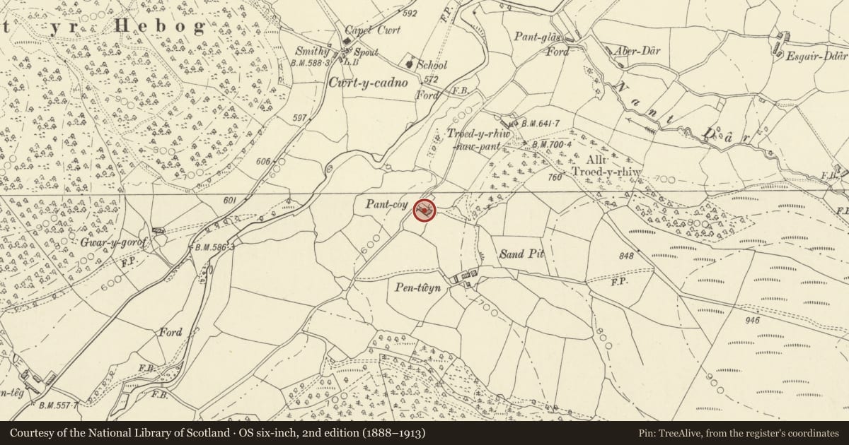 Ordnance Survey six-inch map, 2nd edition (1888–1913) covering the location of Range forward to right of Pant-Coy, Cynwyl Gaeo, Carmarthenshire, with a pin at the register's coordinates