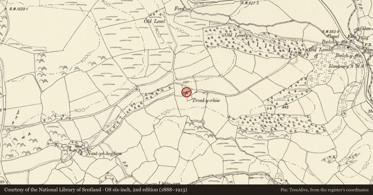 Ordnance Survey six-inch map, 2nd edition (1888–1913) covering the location of Former Cow-House at Troedyrhiw, Cynwyl Gaeo, Carmarthenshire, with a pin at the register's coordinates