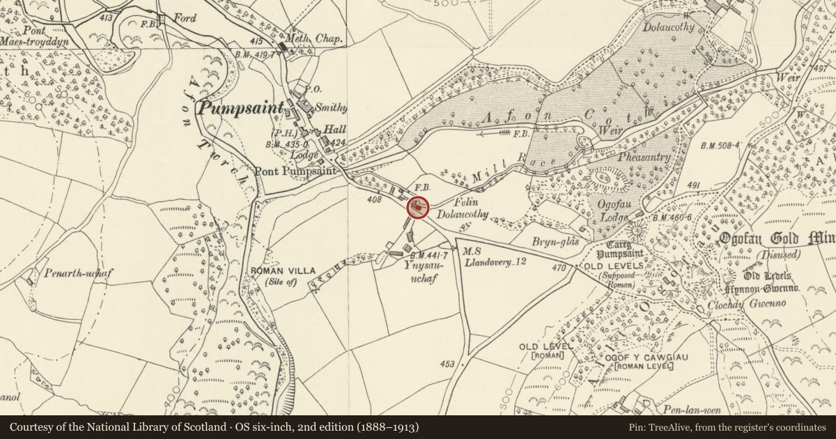 Ordnance Survey six-inch map, 2nd edition (1888–1913) covering the location of Felindolau, Cynwyl Gaeo, Carmarthenshire, with a pin at the register's coordinates