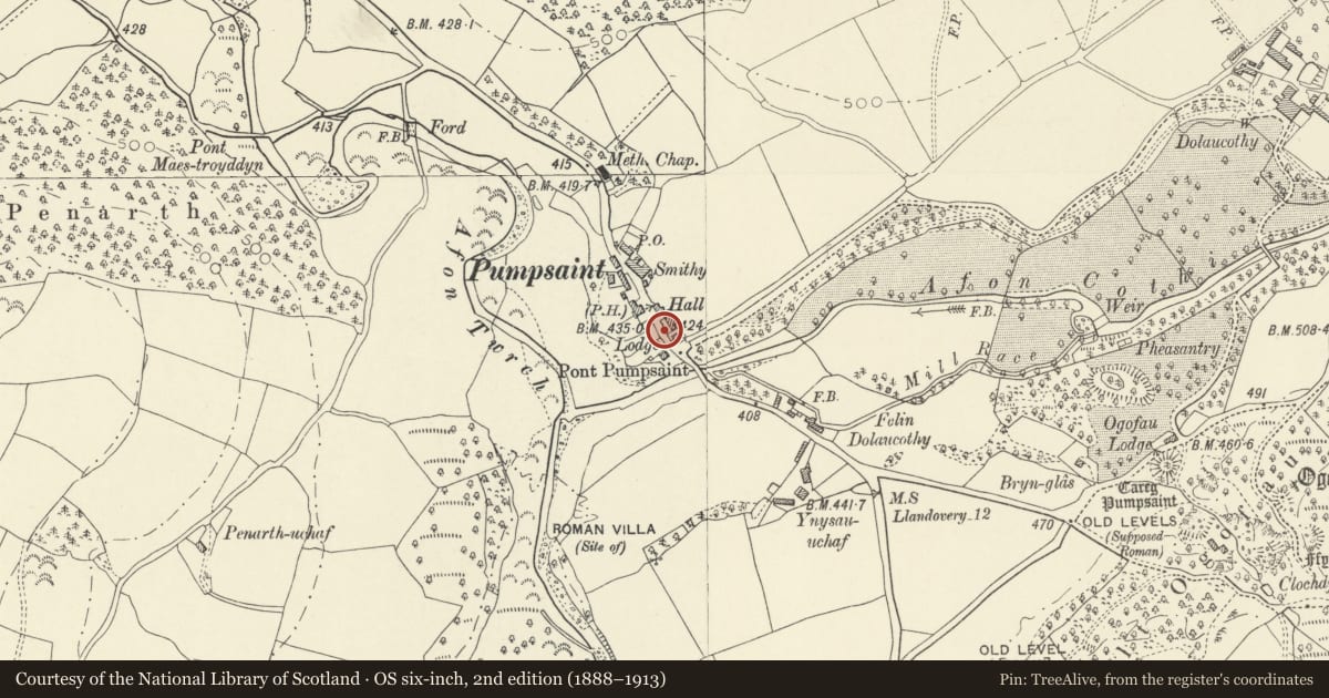 Ordnance Survey six-inch map, 2nd edition (1888–1913) covering the location of War Memorial Gates and Railings to the Village Hall, Cynwyl Gaeo, Carmarthenshire, with a pin at the register's coordinates