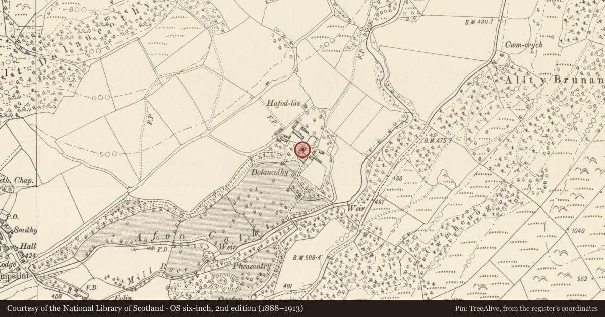 Ordnance Survey six-inch map, 2nd edition (1888–1913) covering the location of Dolaucothi Home Farm, Cynwyl Gaeo, Carmarthenshire, with a pin at the register's coordinates