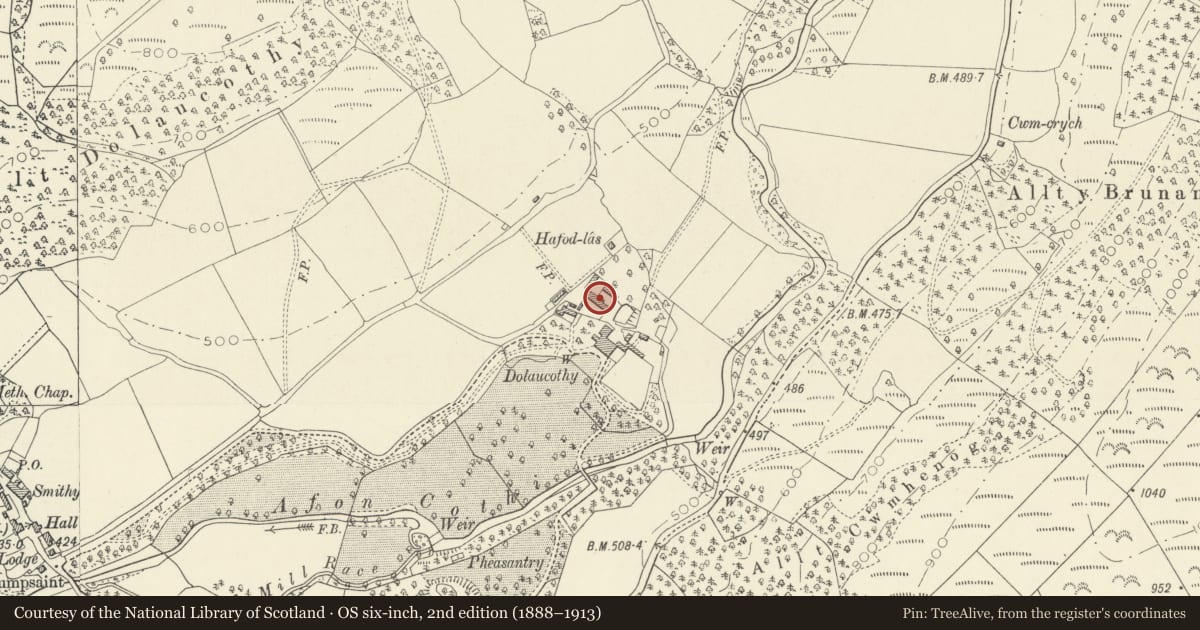 Ordnance Survey six-inch map, 2nd edition (1888–1913) covering the location of Stable Range at Dolaucothi Farm, Cynwyl Gaeo, Carmarthenshire, with a pin at the register's coordinates
