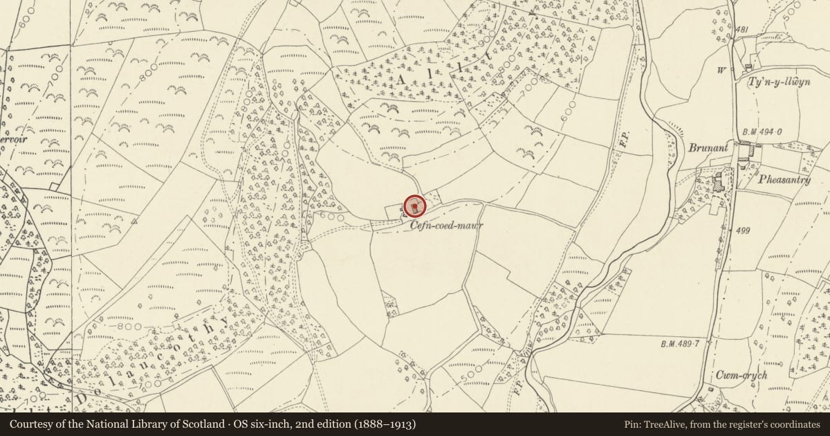 Ordnance Survey six-inch map, 2nd edition (1888–1913) covering the location of Barn Range at cefn-Coed Mawr, Cynwyl Gaeo, Carmarthenshire, with a pin at the register's coordinates