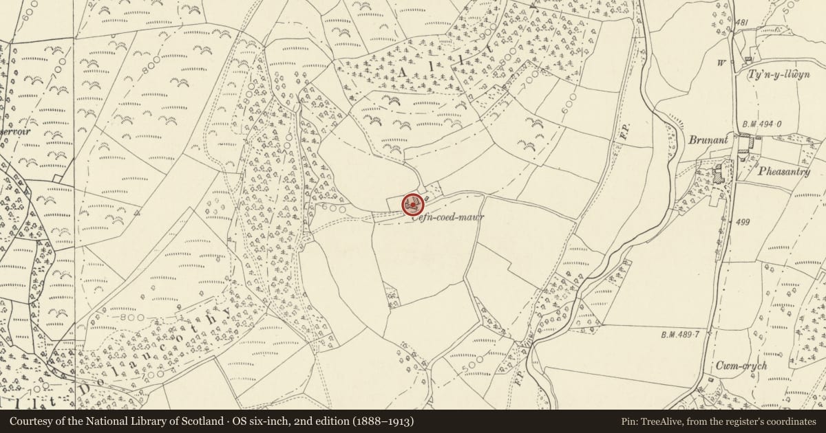 Ordnance Survey six-inch map, 2nd edition (1888–1913) covering the location of cow-shed at Cefn-Coed Mawr, Cynwyl Gaeo, Carmarthenshire, with a pin at the register's coordinates