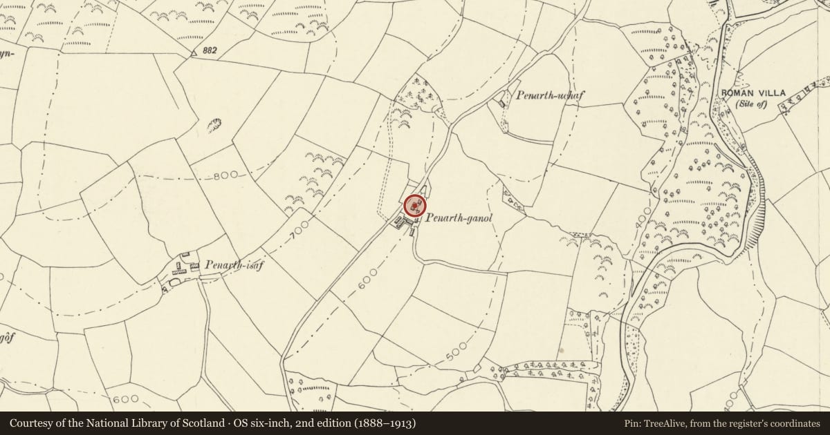 Ordnance Survey six-inch map, 2nd edition (1888–1913) covering the location of Penarth-Ganol, Cynwyl Gaeo, Carmarthenshire, with a pin at the register's coordinates