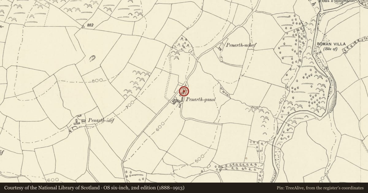 Ordnance Survey six-inch map, 2nd edition (1888–1913) covering the location of Barn Range ar Pennarth-Ganol, Cynwyl Gaeo, Carmarthenshire, with a pin at the register's coordinates