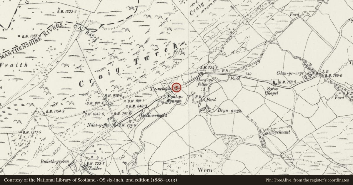 Ordnance Survey six-inch map, 2nd edition (1888–1913) covering the location of Ty-Newydd, Cynwyl Gaeo, Carmarthenshire, with a pin at the register's coordinates