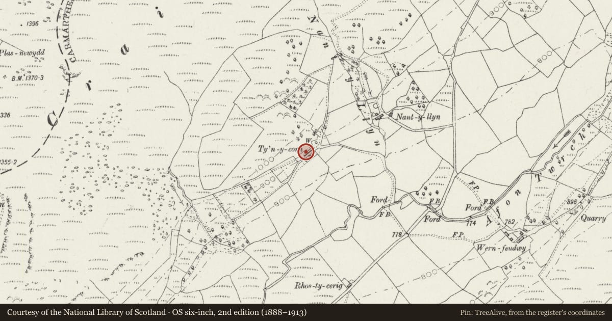 Ordnance Survey six-inch map, 2nd edition (1888–1913) covering the location of Ty'n-y-Corn, Cynwyl Gaeo, Carmarthenshire, with a pin at the register's coordinates