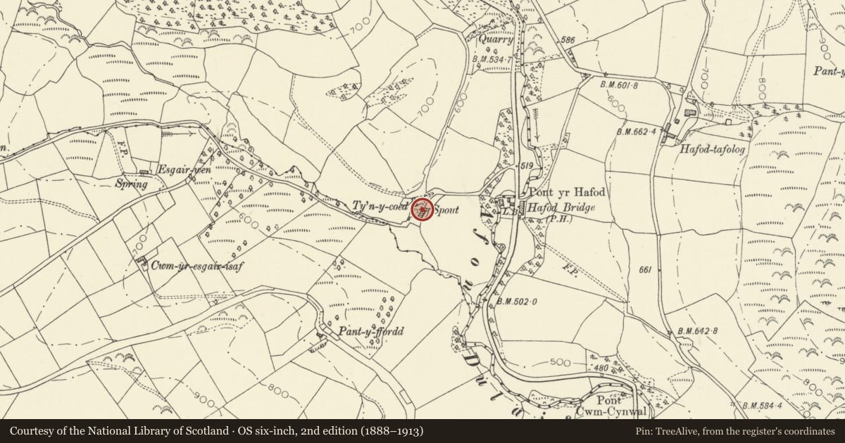 Ordnance Survey six-inch map, 2nd edition (1888–1913) covering the location of Byre attached to Ty'n Coed, Cynwyl Gaeo, Carmarthenshire, with a pin at the register's coordinates