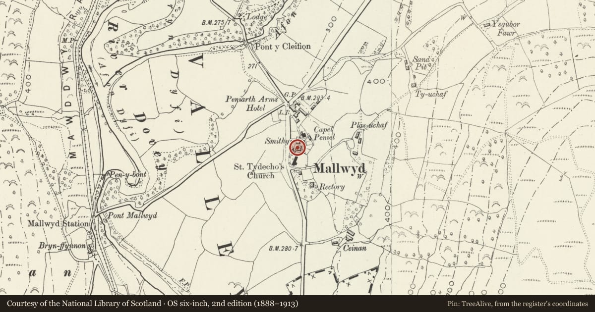 Ordnance Survey six-inch map, 2nd edition (1888–1913) covering the location of No 1 Gorphwysfa, Mawddwy, Gwynedd, with a pin at the register's coordinates