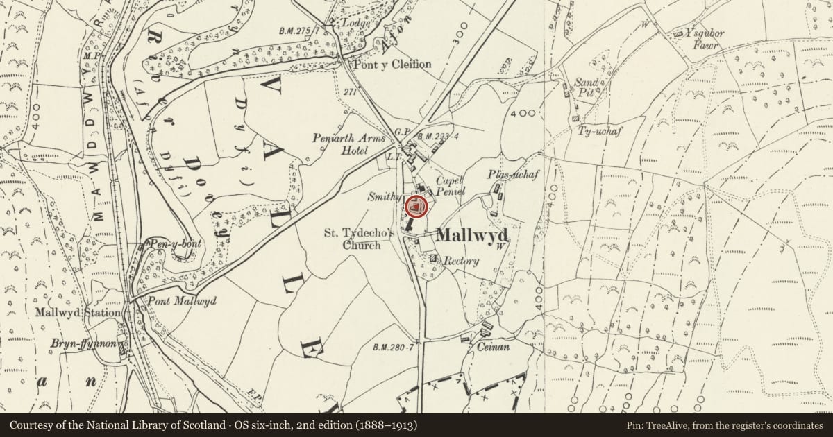 Ordnance Survey six-inch map, 2nd edition (1888–1913) covering the location of Gorphwysfa, Mawddwy, Gwynedd, with a pin at the register's coordinates