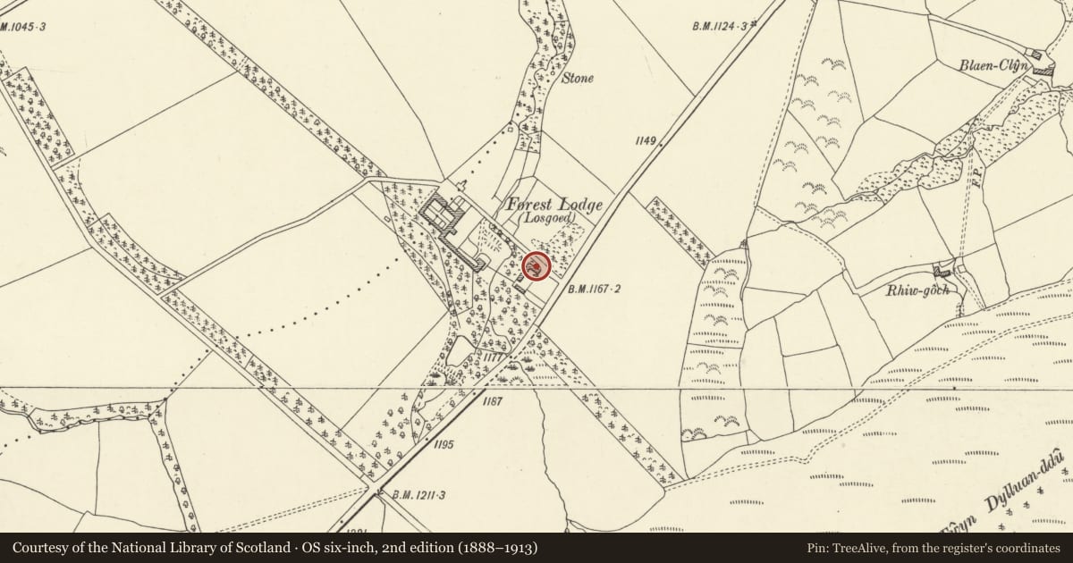 Ordnance Survey six-inch map, 2nd edition (1888–1913) covering the location of No. 1 Forest Lodge Cottages, Glyn Tarell, Powys, with a pin at the register's coordinates