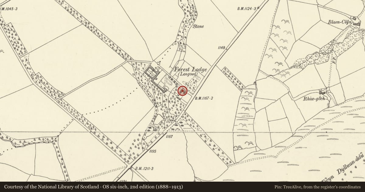 Ordnance Survey six-inch map, 2nd edition (1888–1913) covering the location of No. 2 Forest Lodge Cottages, Glyn Tarell, Powys, with a pin at the register's coordinates