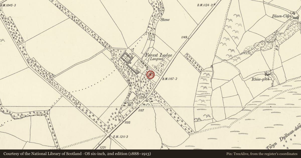Ordnance Survey six-inch map, 2nd edition (1888–1913) covering the location of No. 4 Forest Lodge Cottages (including outbuilding to left), Glyn Tarell, Powys, with a pin at the register's coordinates