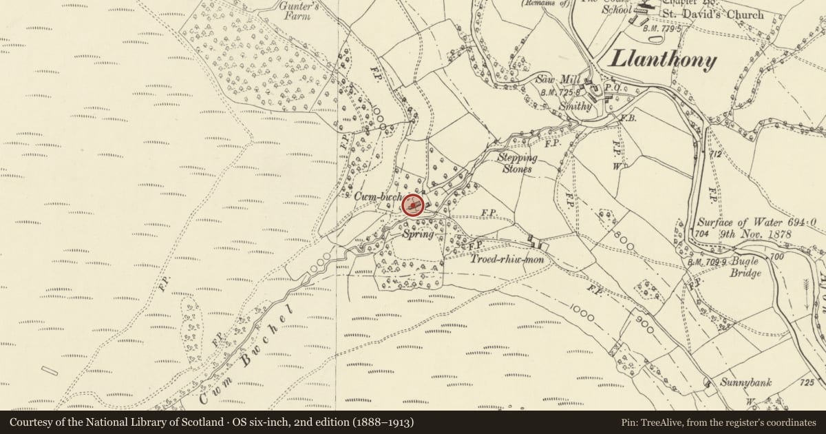Ordnance Survey six-inch map, 2nd edition (1888–1913) covering the location of Barn at Cwm Bwchel Farm, Crucorney, Monmouthshire, with a pin at the register's coordinates