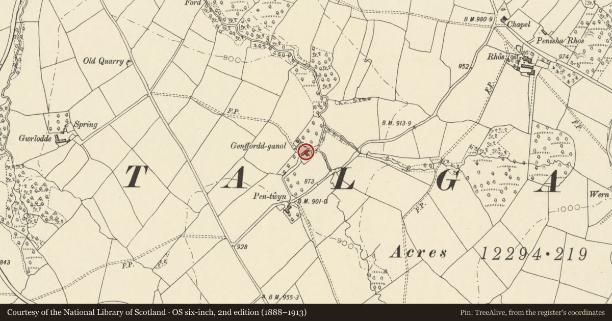Ordnance Survey six-inch map, 2nd edition (1888–1913) covering the location of Middle Genffordd, Talgarth, Powys, with a pin at the register's coordinates