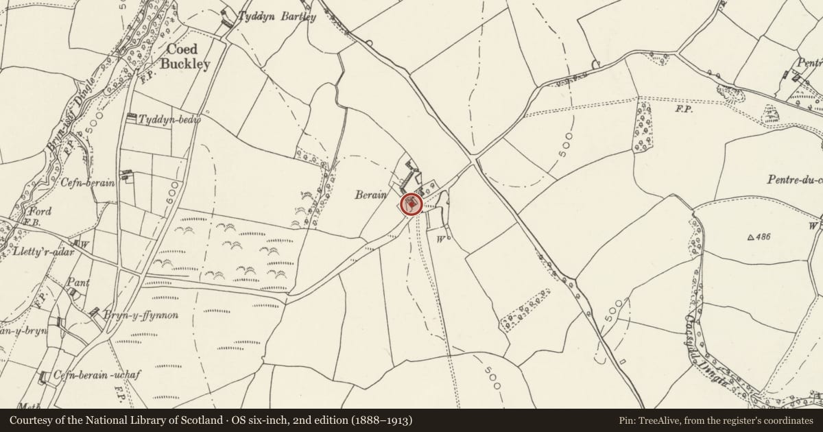 Ordnance Survey six-inch map, 2nd edition (1888–1913) covering the location of Berain, Llannefydd, Conwy, with a pin at the register's coordinates