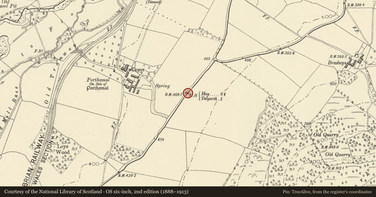 Ordnance Survey six-inch map, 2nd edition (1888–1913) covering the location of Milestone, Talgarth, Powys, with a pin at the register's coordinates