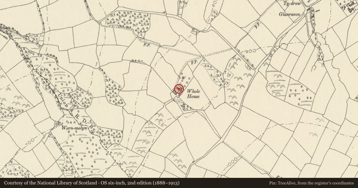 Ordnance Survey six-inch map, 2nd edition (1888–1913) covering the location of Whole House Farmhouse including attached Farm Building, Talgarth, Powys, with a pin at the register's coordinates