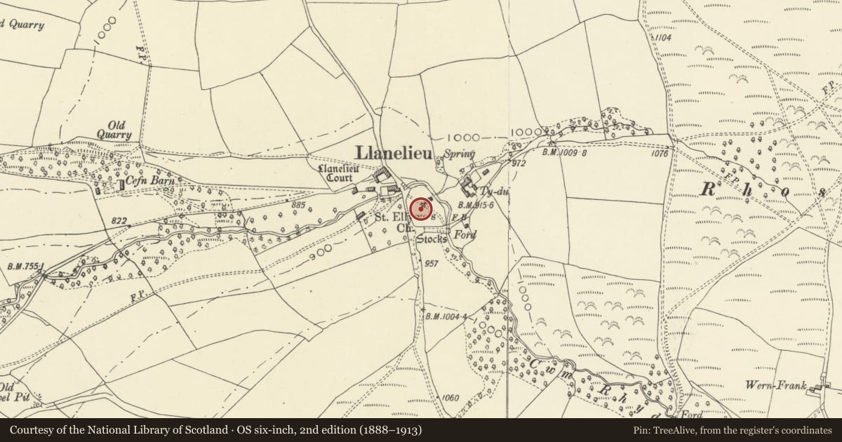 Ordnance Survey six-inch map, 2nd edition (1888–1913) covering the location of Monument in churchyard of church of St Ellywe, Talgarth, Powys, with a pin at the register's coordinates