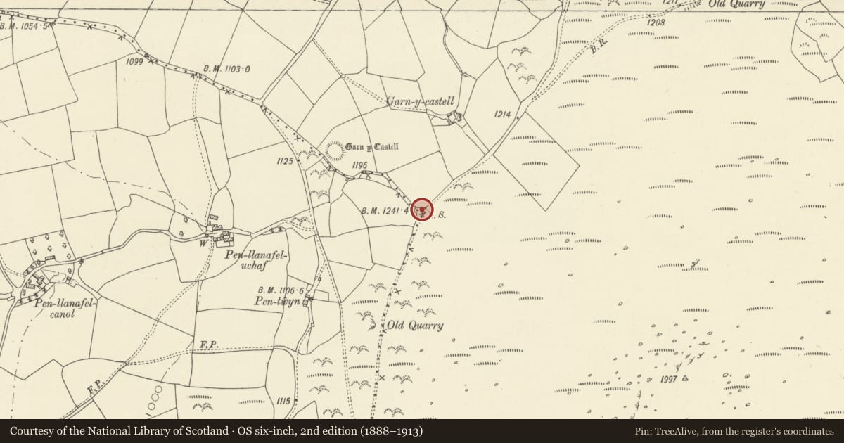 Ordnance Survey six-inch map, 2nd edition (1888–1913) covering the location of Boundary Marker Stone, Llangors, Powys, with a pin at the register's coordinates