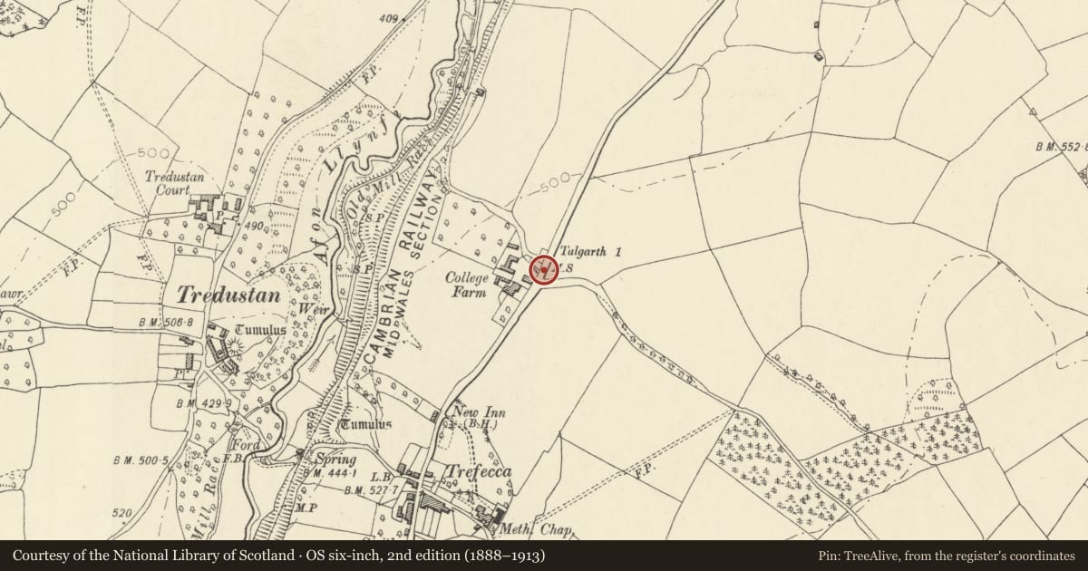 Ordnance Survey six-inch map, 2nd edition (1888–1913) covering the location of Milestone opposite Trefeca College Farm, Talgarth, Powys, with a pin at the register's coordinates