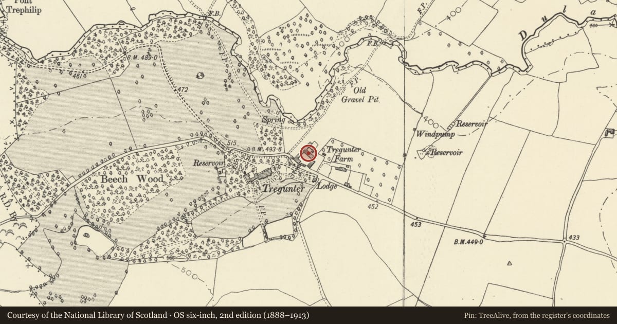 Ordnance Survey six-inch map, 2nd edition (1888–1913) covering the location of Cowhouse forming N side of farmyard at Tregunter Farm, Talgarth, Powys, with a pin at the register's coordinates