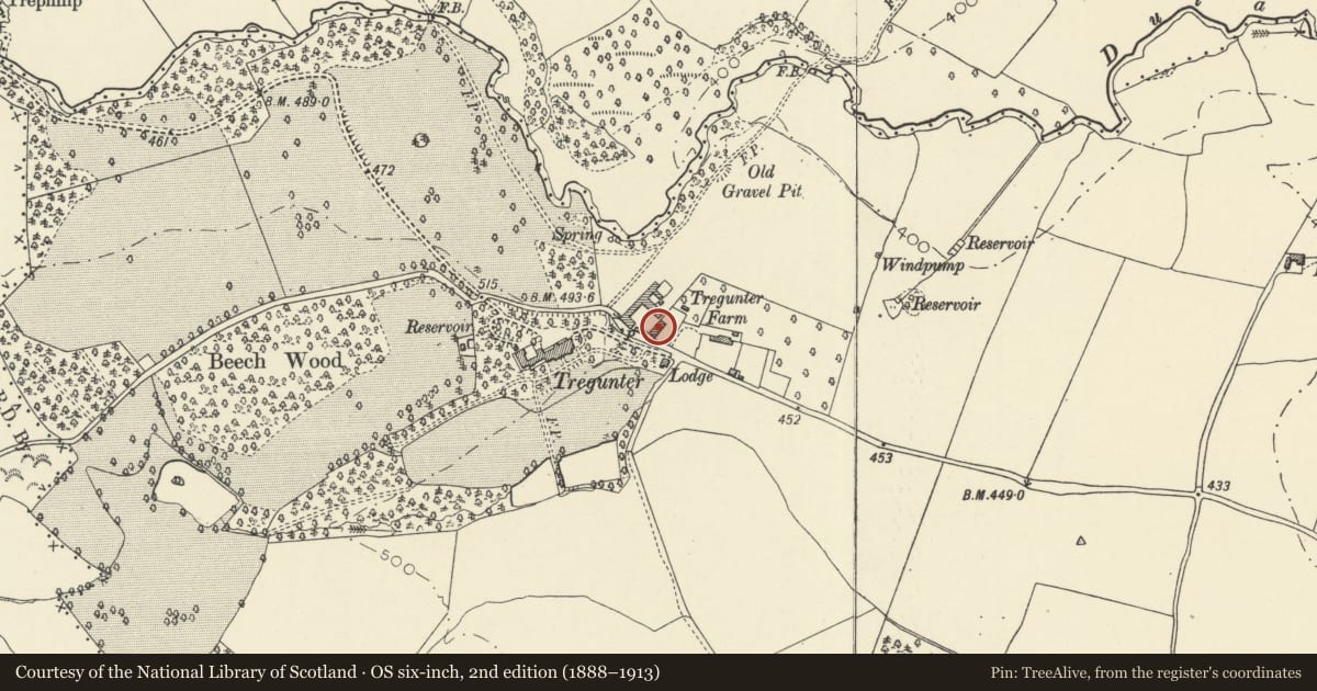Ordnance Survey six-inch map, 2nd edition (1888–1913) covering the location of Carthouse and Granary on E side of Farmyard at Tregunter Farm, Talgarth, Powys, with a pin at the register's coordinates