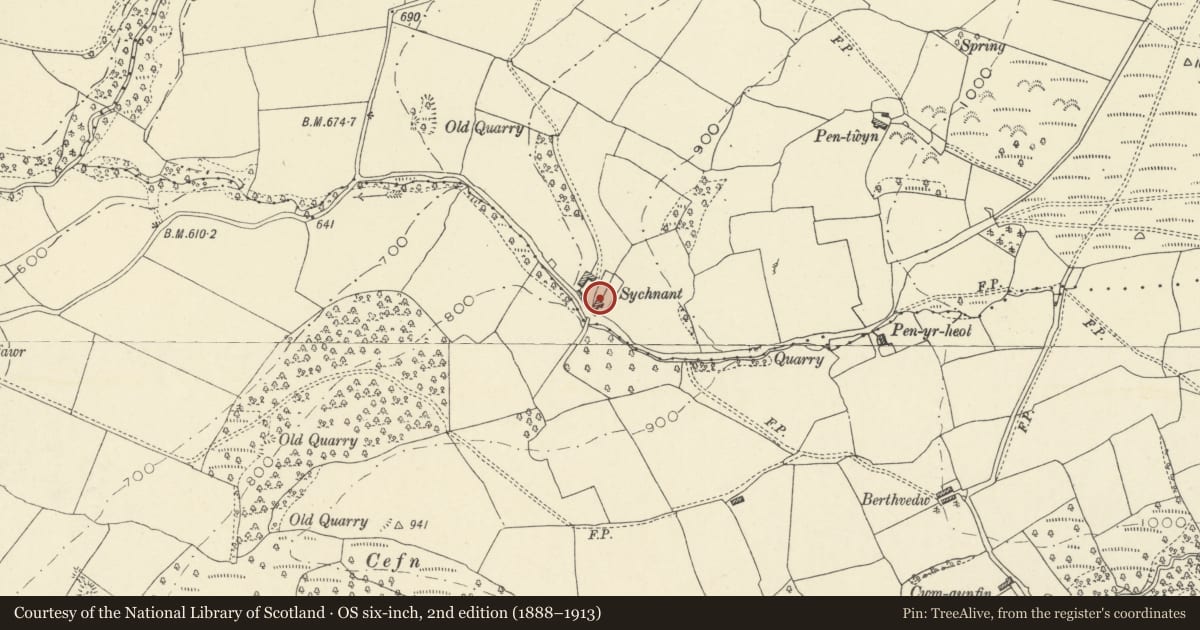 Ordnance Survey six-inch map, 2nd edition (1888–1913) covering the location of Sychnant Farmhouse, Talgarth, Powys, with a pin at the register's coordinates