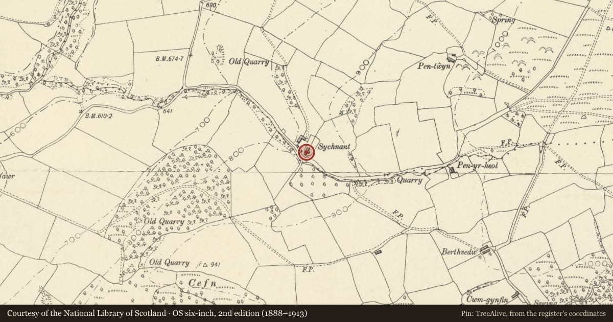 Ordnance Survey six-inch map, 2nd edition (1888–1913) covering the location of Sychnant Cottage, Talgarth, Powys, with a pin at the register's coordinates