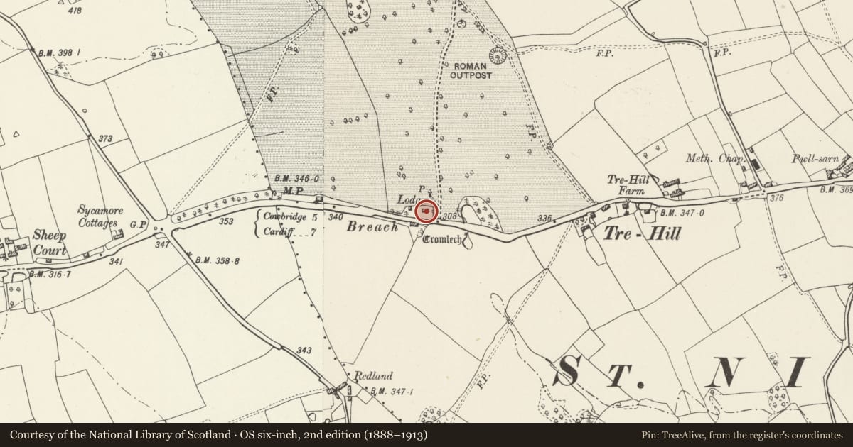 Ordnance Survey six-inch map, 2nd edition (1888–1913) covering the location of Cottrell Lodge, St. Nicholas and Bonvilston, Vale of Glamorgan, with a pin at the register's coordinates