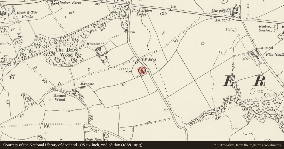 Ordnance Survey six-inch map, 2nd edition (1888–1913) covering the location of Bryn House, Ruabon, Wrexham, with a pin at the register's coordinates