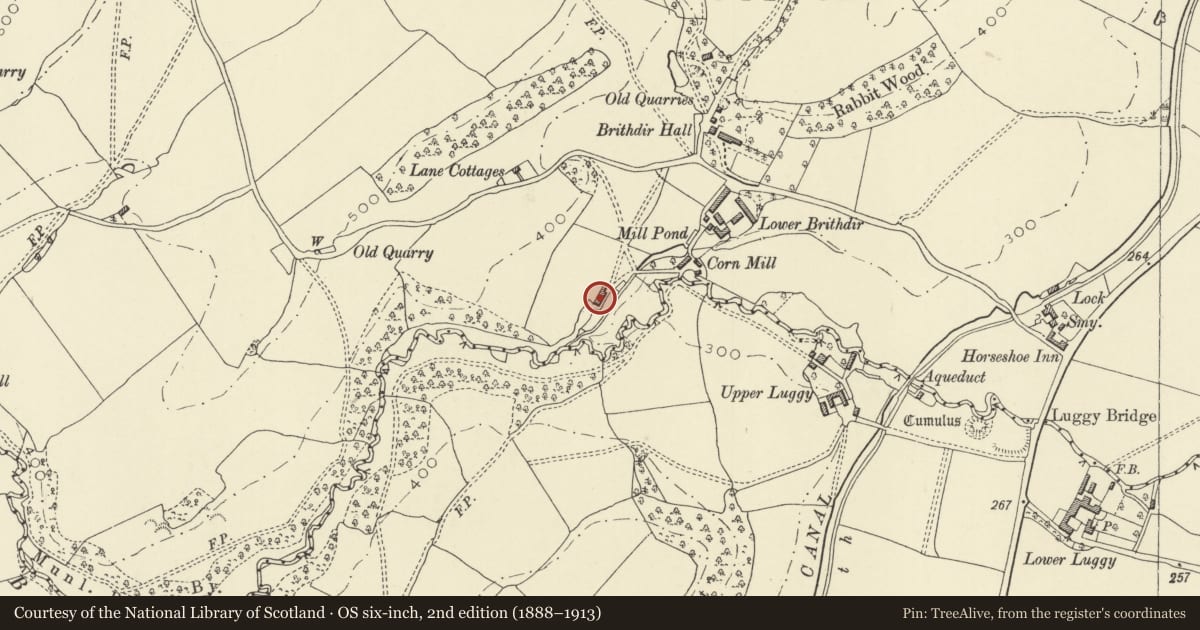 Ordnance Survey six-inch map, 2nd edition (1888–1913) covering the location of The Factory, Berriew, Powys, with a pin at the register's coordinates