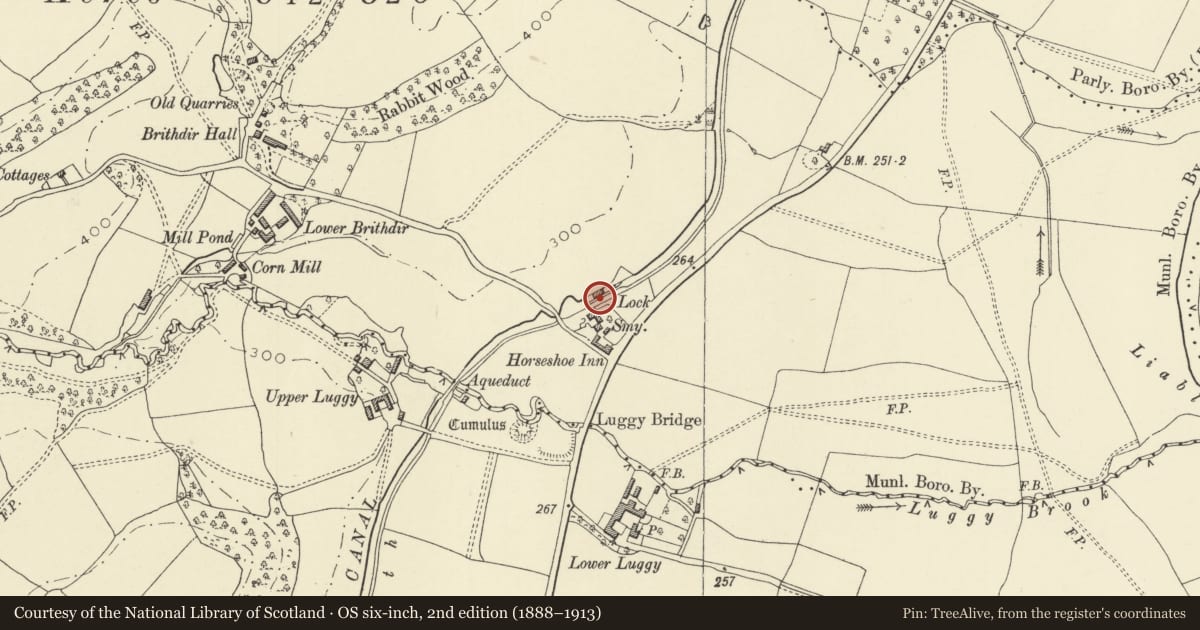 Ordnance Survey six-inch map, 2nd edition (1888–1913) covering the location of Brtihdir Lock, Berriew, Powys, with a pin at the register's coordinates