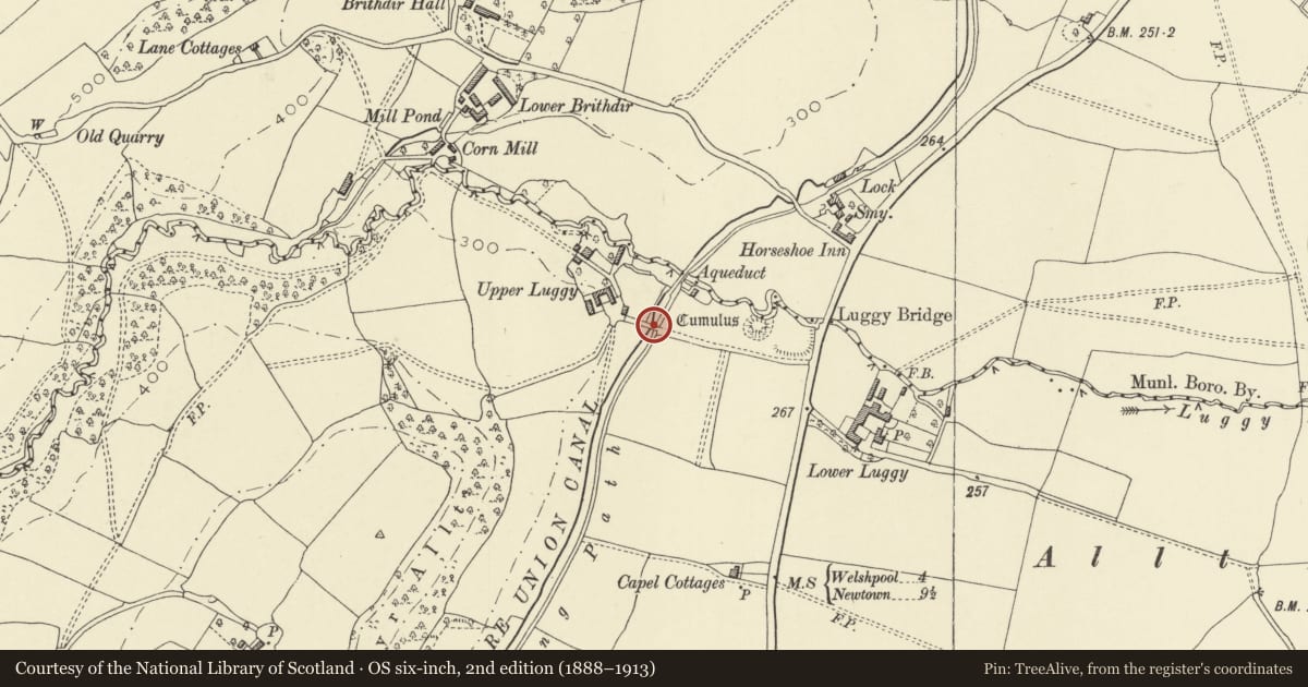 Ordnance Survey six-inch map, 2nd edition (1888–1913) covering the location of Bridge 126 over the Mongomeryshire Canal, Berriew, Powys, with a pin at the register's coordinates