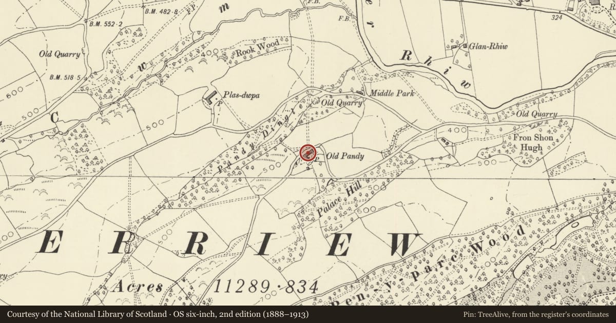 Ordnance Survey six-inch map, 2nd edition (1888–1913) covering the location of Upper Pandy Farmhouse and Barn, Berriew, Powys, with a pin at the register's coordinates