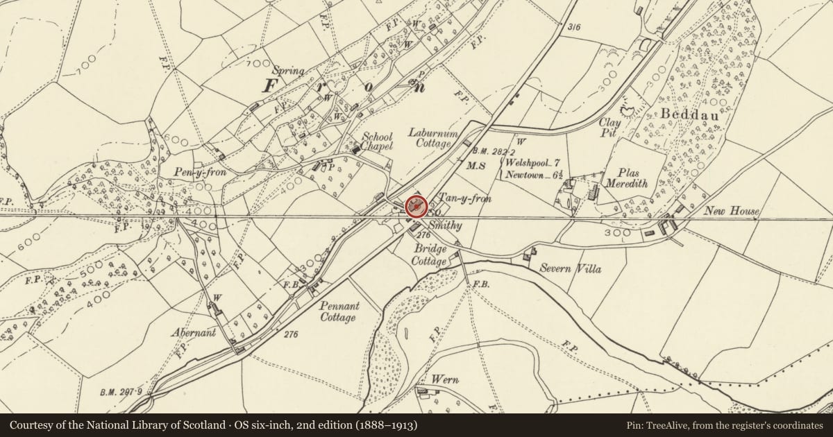 Ordnance Survey six-inch map, 2nd edition (1888–1913) covering the location of Post Office Stores, Berriew, Powys, with a pin at the register's coordinates