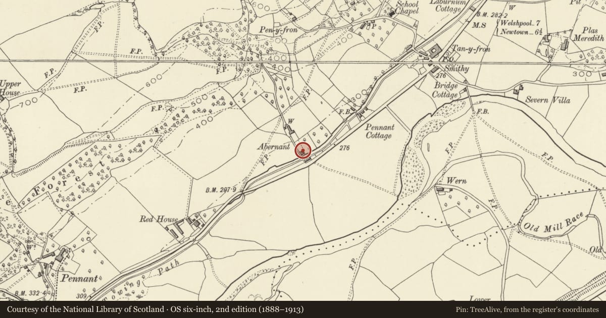 Ordnance Survey six-inch map, 2nd edition (1888–1913) covering the location of Brick Shed alongside Bridge 140 over The Canal, Berriew, Powys, with a pin at the register's coordinates