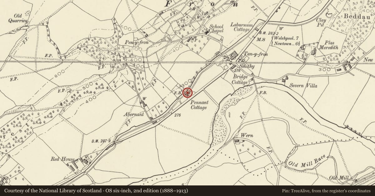 Ordnance Survey six-inch map, 2nd edition (1888–1913) covering the location of Maes Fron, Berriew, Powys, with a pin at the register's coordinates