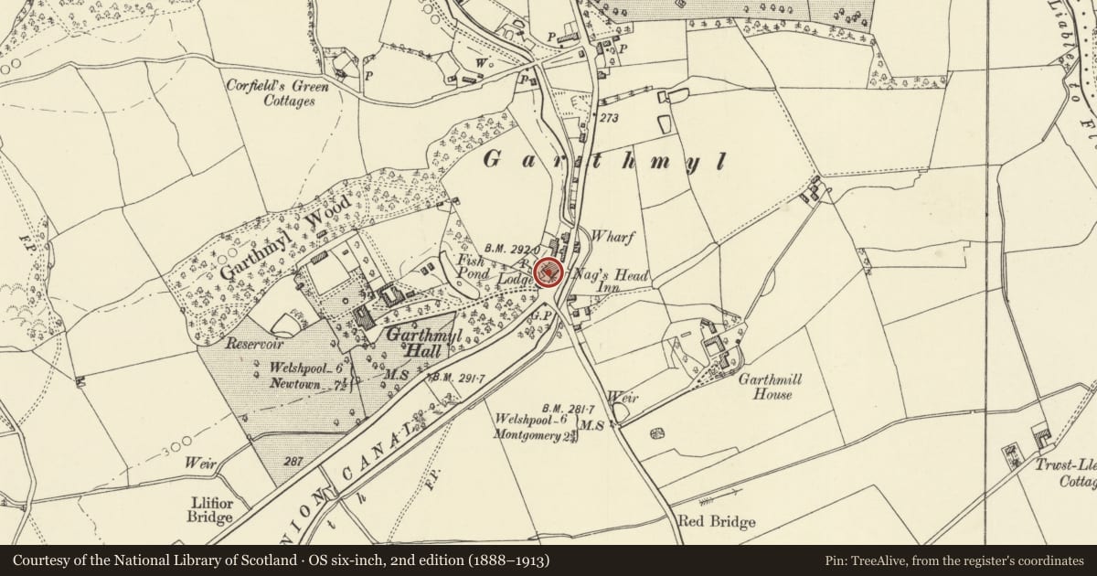 Ordnance Survey six-inch map, 2nd edition (1888–1913) covering the location of Wayside, Berriew, Powys, with a pin at the register's coordinates