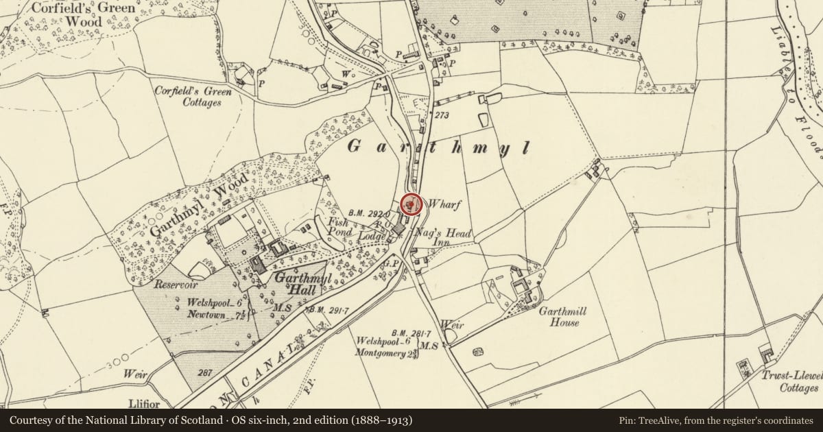Ordnance Survey six-inch map, 2nd edition (1888–1913) covering the location of Former Nags Head Maltings, Berriew, Powys, with a pin at the register's coordinates