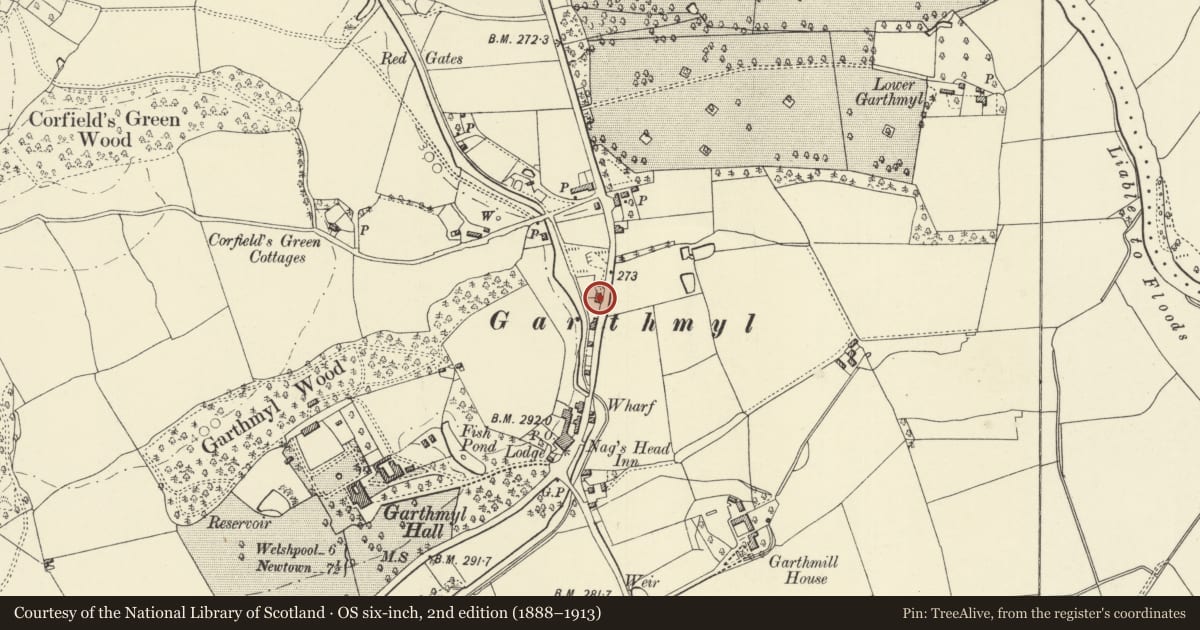 Ordnance Survey six-inch map, 2nd edition (1888–1913) covering the location of Former Canal Warehouse, Berriew, Powys, with a pin at the register's coordinates