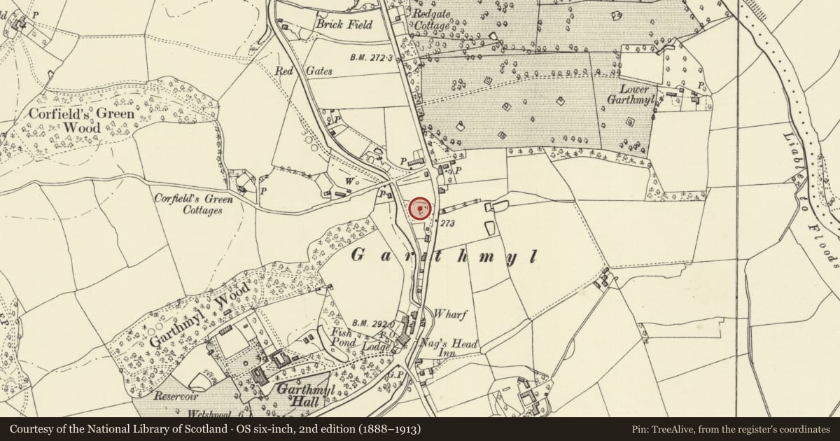 Ordnance Survey six-inch map, 2nd edition (1888–1913) covering the location of Southern Kiln-Bank at Garthmyl, Berriew, Powys, with a pin at the register's coordinates