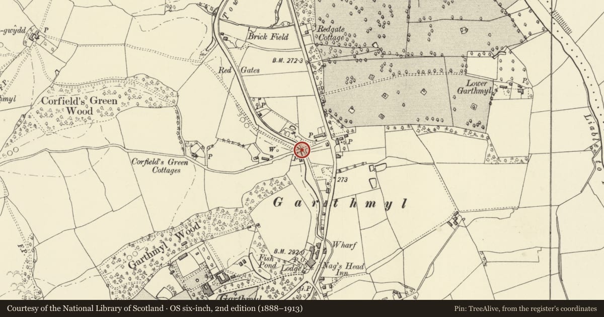 Ordnance Survey six-inch map, 2nd edition (1888–1913) covering the location of Bridge 130 over The Mongomeryshire Canal, Berriew, Powys, with a pin at the register's coordinates