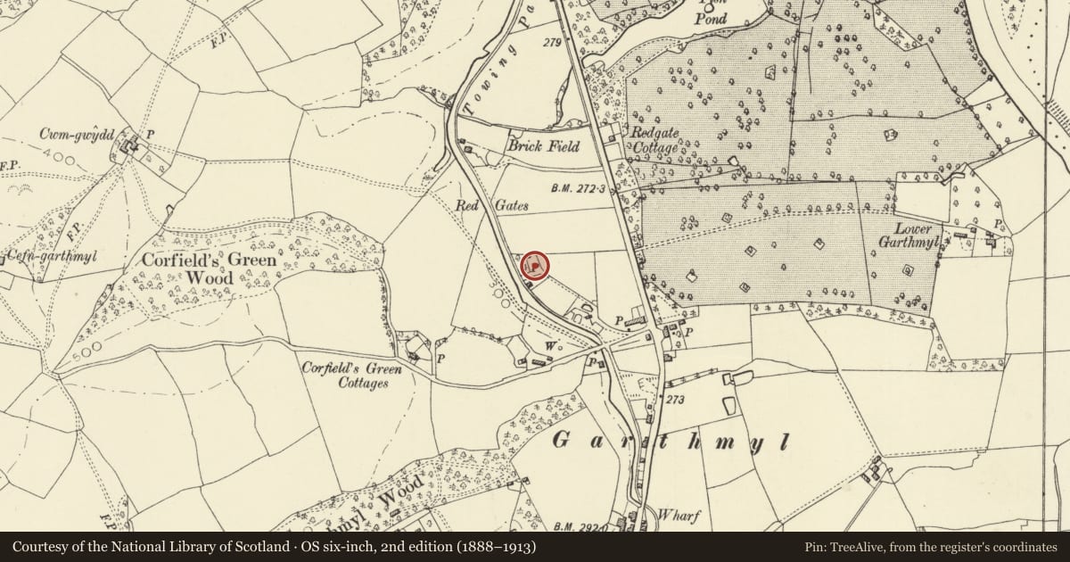 Ordnance Survey six-inch map, 2nd edition (1888–1913) covering the location of Northern Lime-Kiln at Garthmyl, Berriew, Powys, with a pin at the register's coordinates