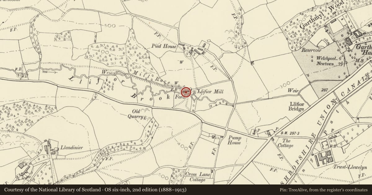 Ordnance Survey six-inch map, 2nd edition (1888–1913) covering the location of Llifior Mill, Berriew, Powys, with a pin at the register's coordinates