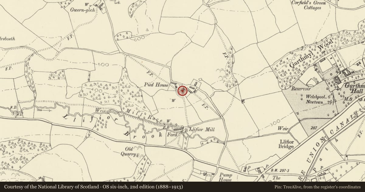 Ordnance Survey six-inch map, 2nd edition (1888–1913) covering the location of Pied House, Berriew, Powys, with a pin at the register's coordinates