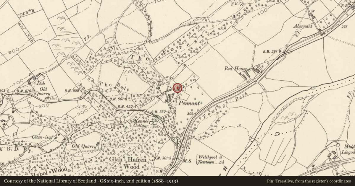 Ordnance Survey six-inch map, 2nd edition (1888–1913) covering the location of Flanking Stable at Pennant, Berriew, Powys, with a pin at the register's coordinates