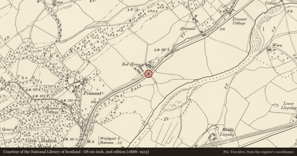 Ordnance Survey six-inch map, 2nd edition (1888–1913) covering the location of Bridge 142 over the Mongomeryshire Canal, Berriew, Powys, with a pin at the register's coordinates